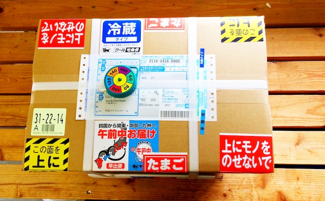 農薬不使用！原矢じぃじの令和４年度徳島県産アキサカリ＊１０kg