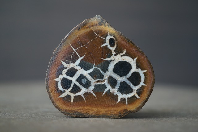 セプタリアン Septarian 1689