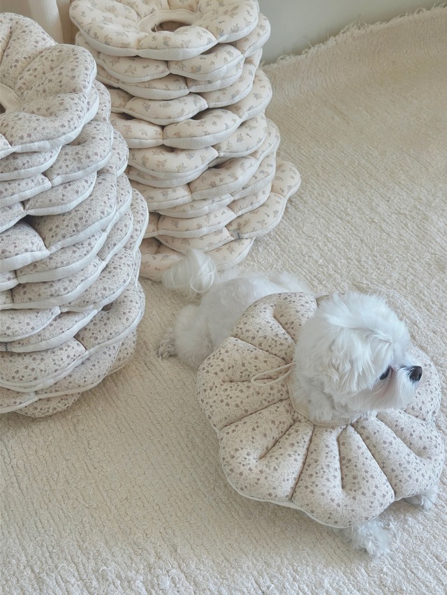 〈予約アイテム〉EYOU  /ピオナネックカラー  ソフトブロッサム Lサイズ