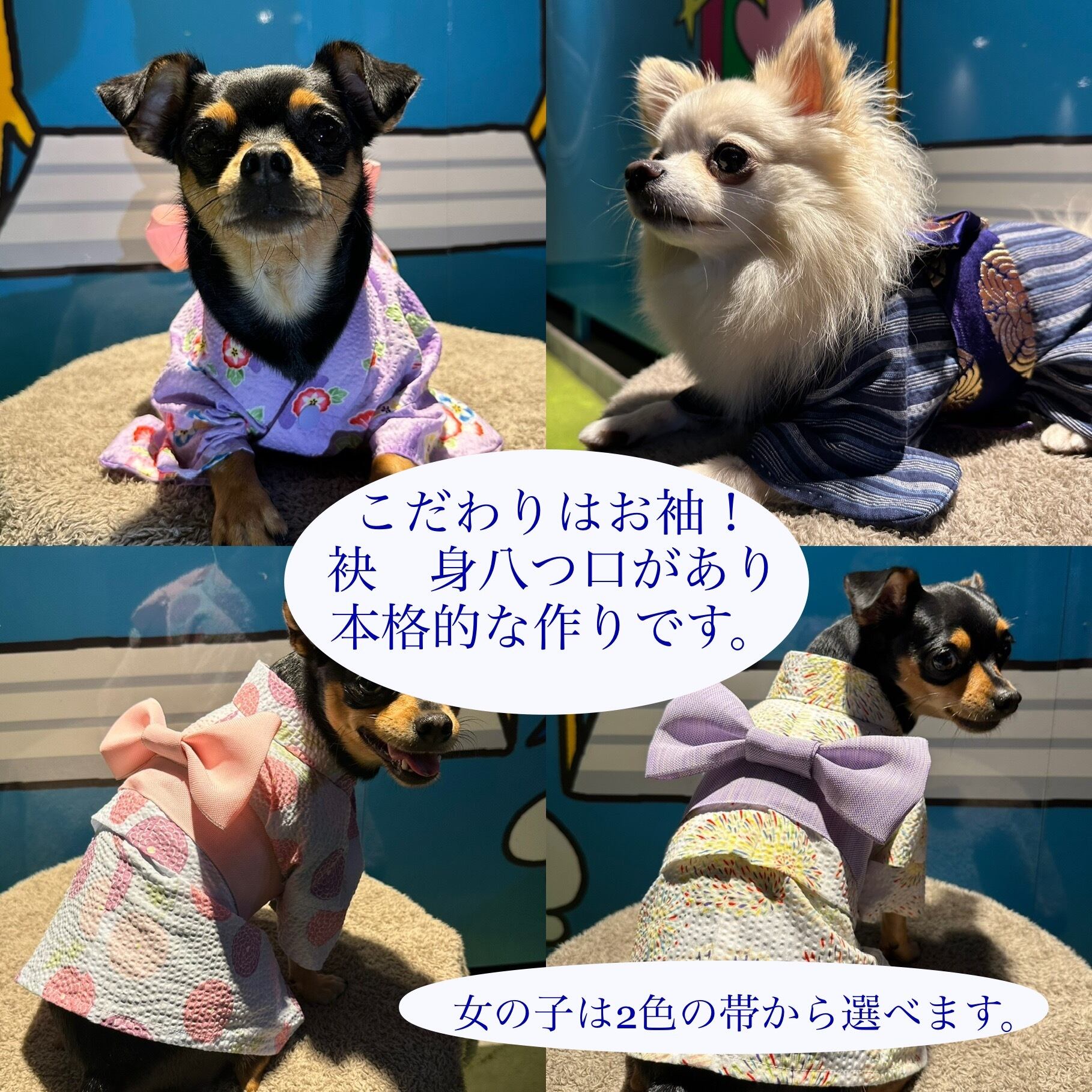 わんこの浴衣 XXS〜S 犬服 本格的！ | 瑠璃