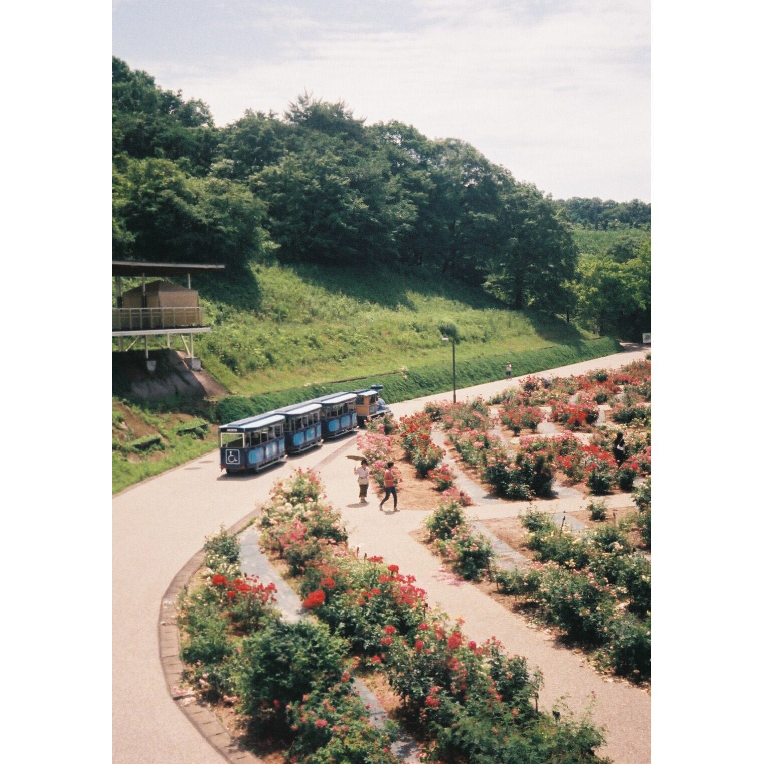 26-002 リメイクカメラ OLYMPUS PEN-EE2（ワインレッド・ショッキング