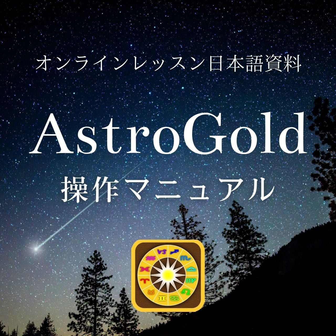 昭和レトロ 星占いコンピューター ASTRO COLECO 占星術 シドニーオマー