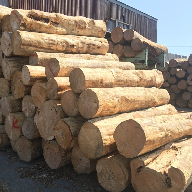 青森ヒバ 除菌 消臭スプレー 国産 天然 ヒバ ナチュラル 無添加 安心 日本製 ノンアルコール キッチン トイレ アロマ ベルガモット配合 ２００ｍｌ Greedy グリーディー 天然素材のアロマオイル アロマスプレー マスクスプレーを販売する東北発のアロマブランド