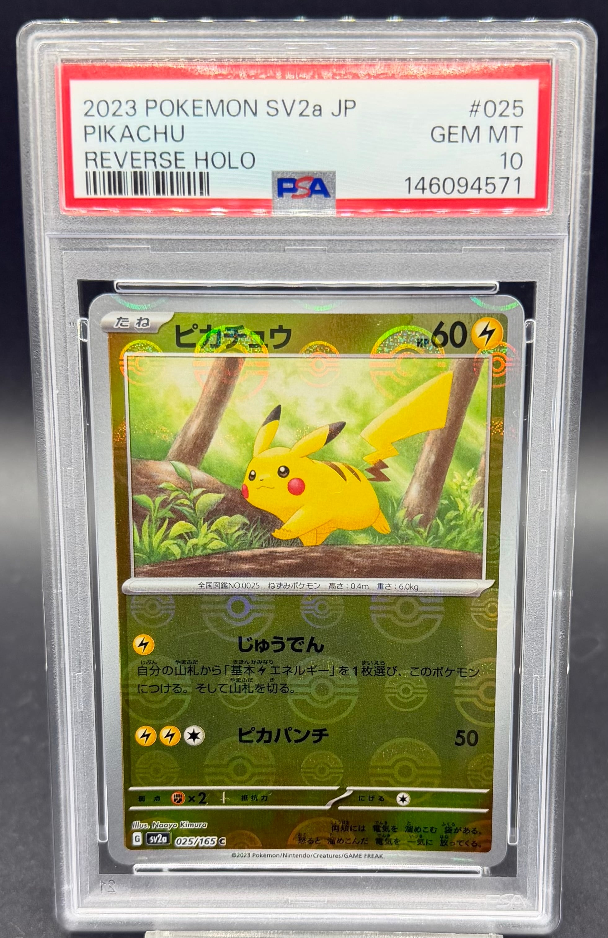 横浜店 PSA10 ピカチュウ【P】{229/BW-P} | ワンピース・ポケモン