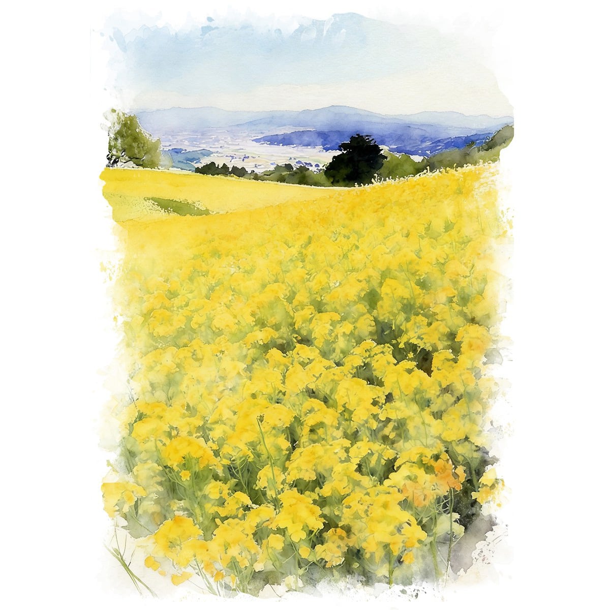 絵画(風景画) 日本の春 福島県三ノ倉高原菜の花畑 インテリアアート額