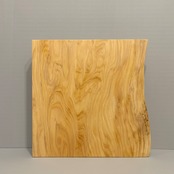 木の結婚証明書｜イヌマキ｜No.681