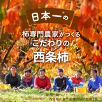 【2025年産】【11月発送】吊るし柿用西条柿 2L 40玉（7.5ｋｇ）吊るし紐付