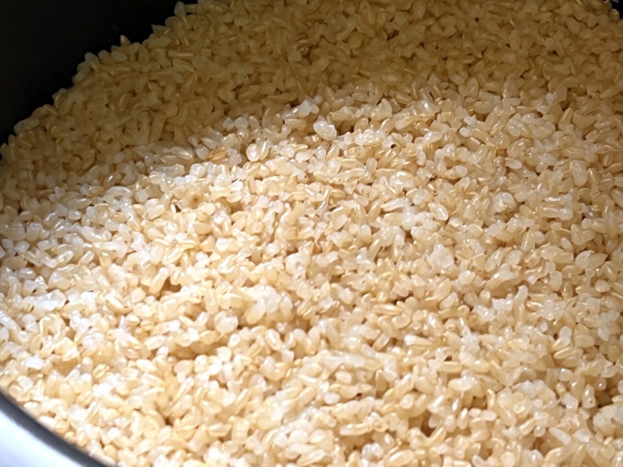 【令和8年産・今季限り】有機玄米2kg ミルキークイーン ※胴割れロット特別価格