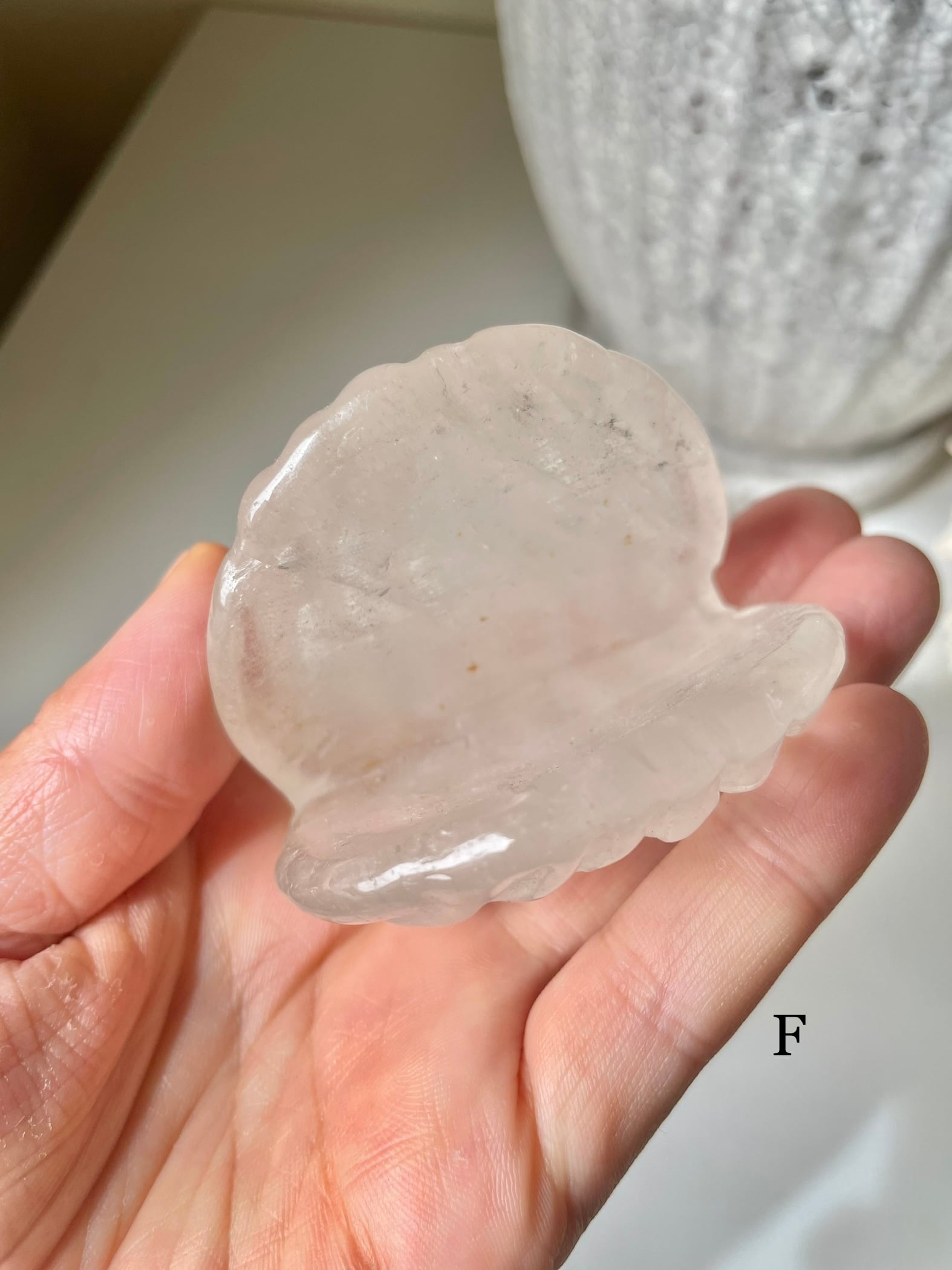 Crystal Shell / 水晶　貝