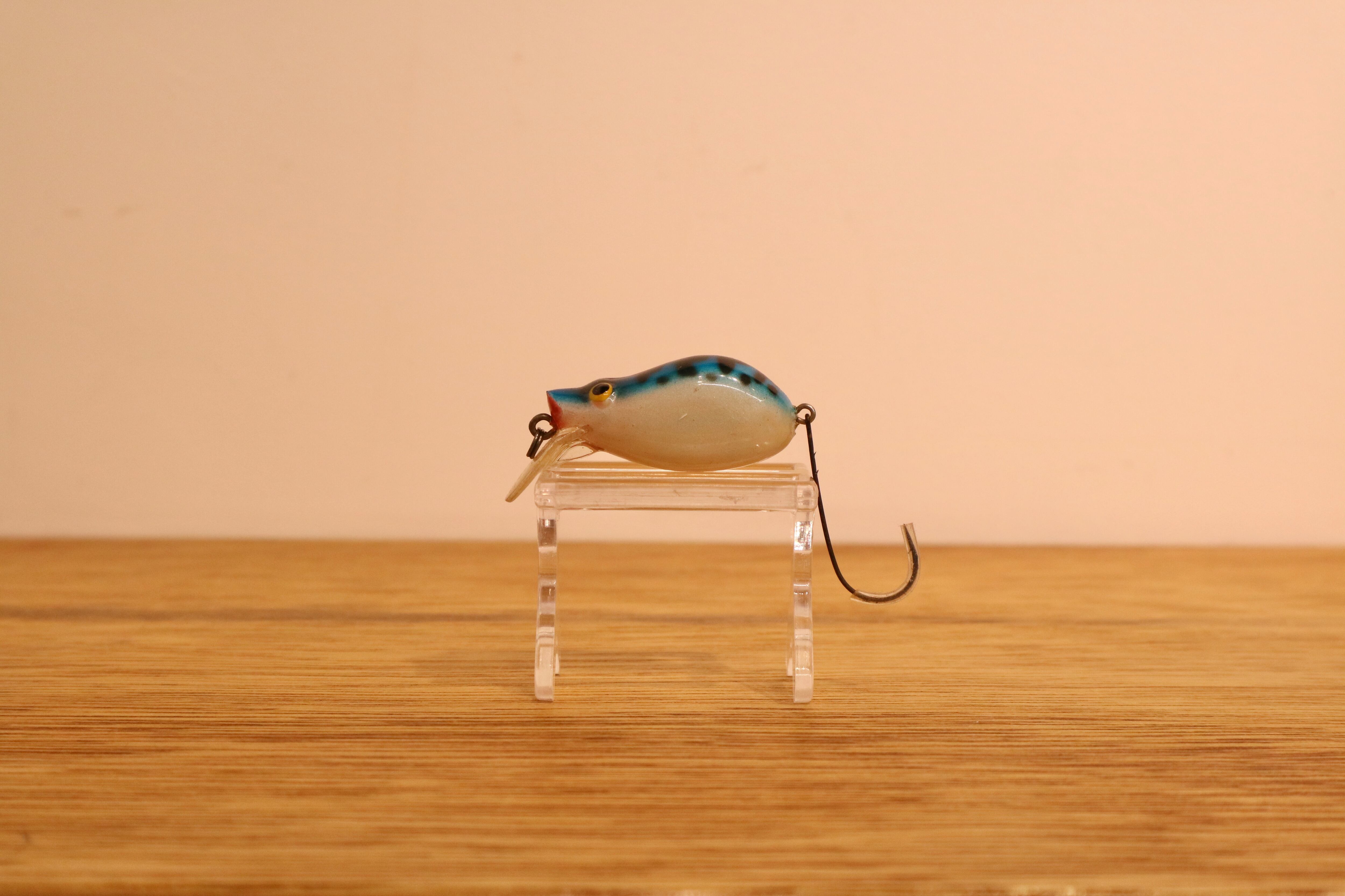 CORMORAN (コーモラン) / PUKU PUKU（ブルー）