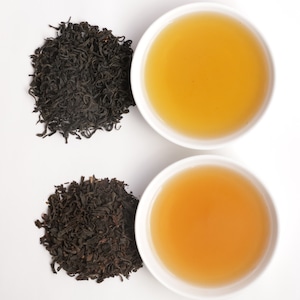 バックナンバー：TEA FOLKS第７便　和束紅茶・丸子紅茶