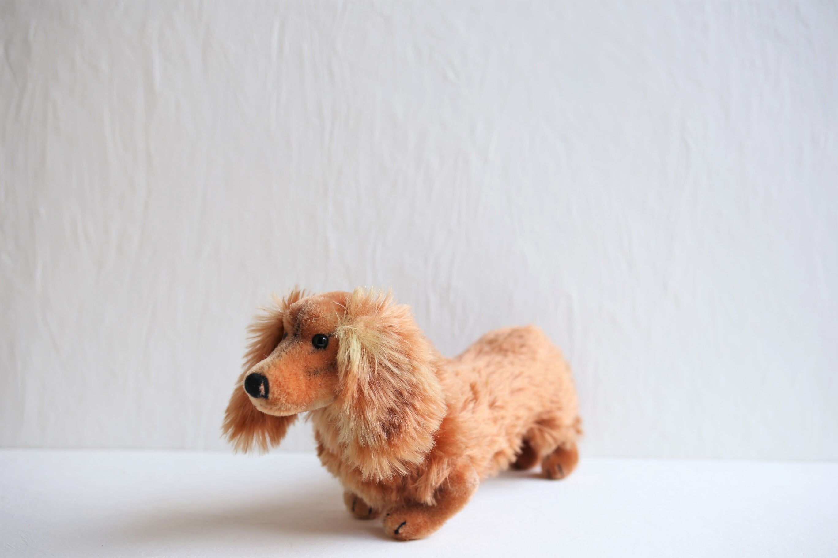 ドイツ ヴィンテージ Steiff シュタイフ ダックスフント『WALDI』 N