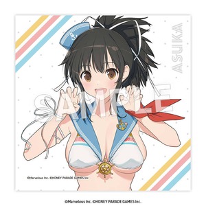 閃乱カグラ	クリーナークロス