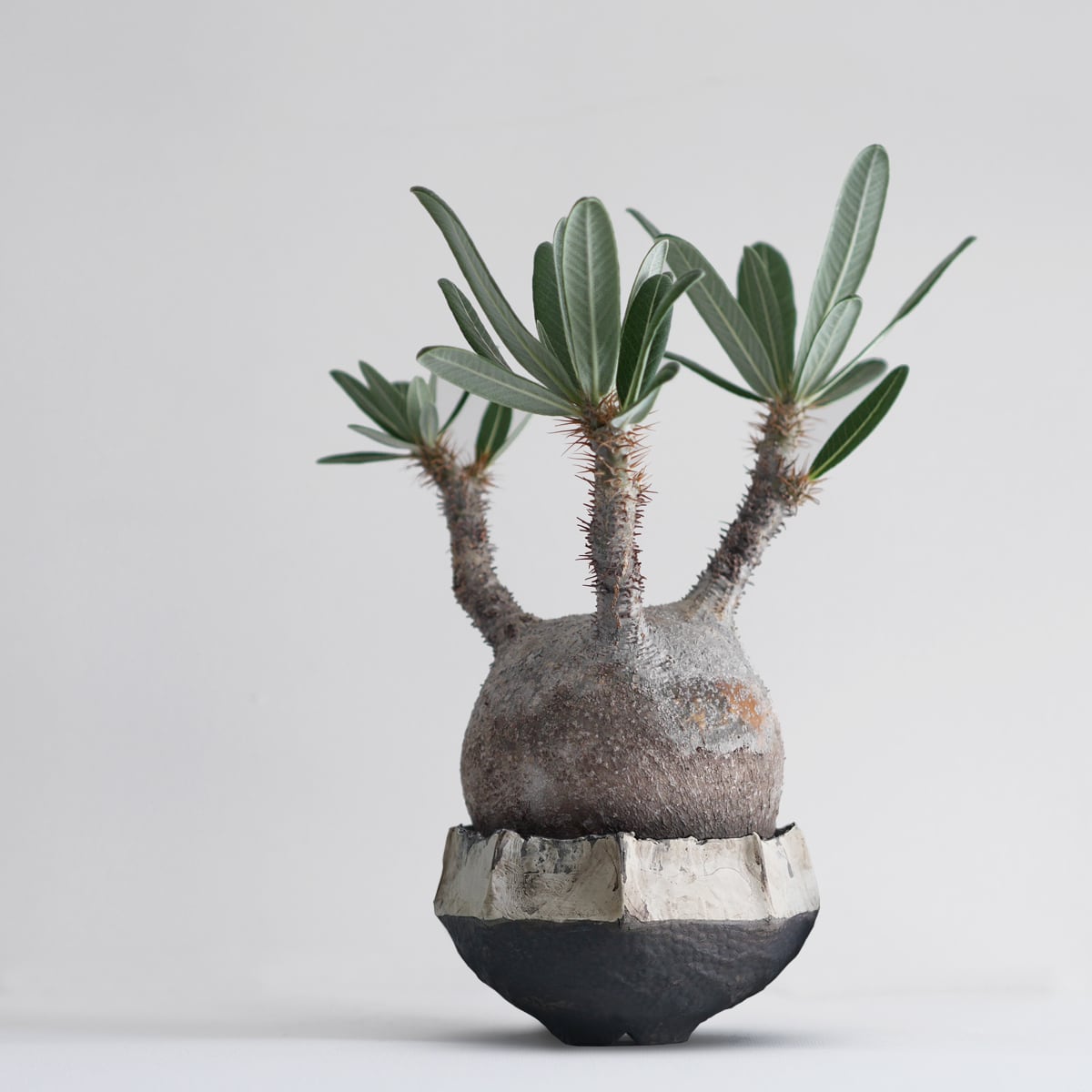 KINAKO:Re - 02 | AHD