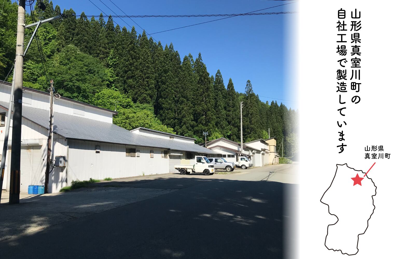 国産わらび水煮 250g 山形県真室川町製造 国産山菜 おひたし・味噌汁