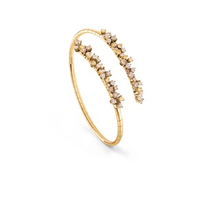 DAMIANI Mimosa（20080821）