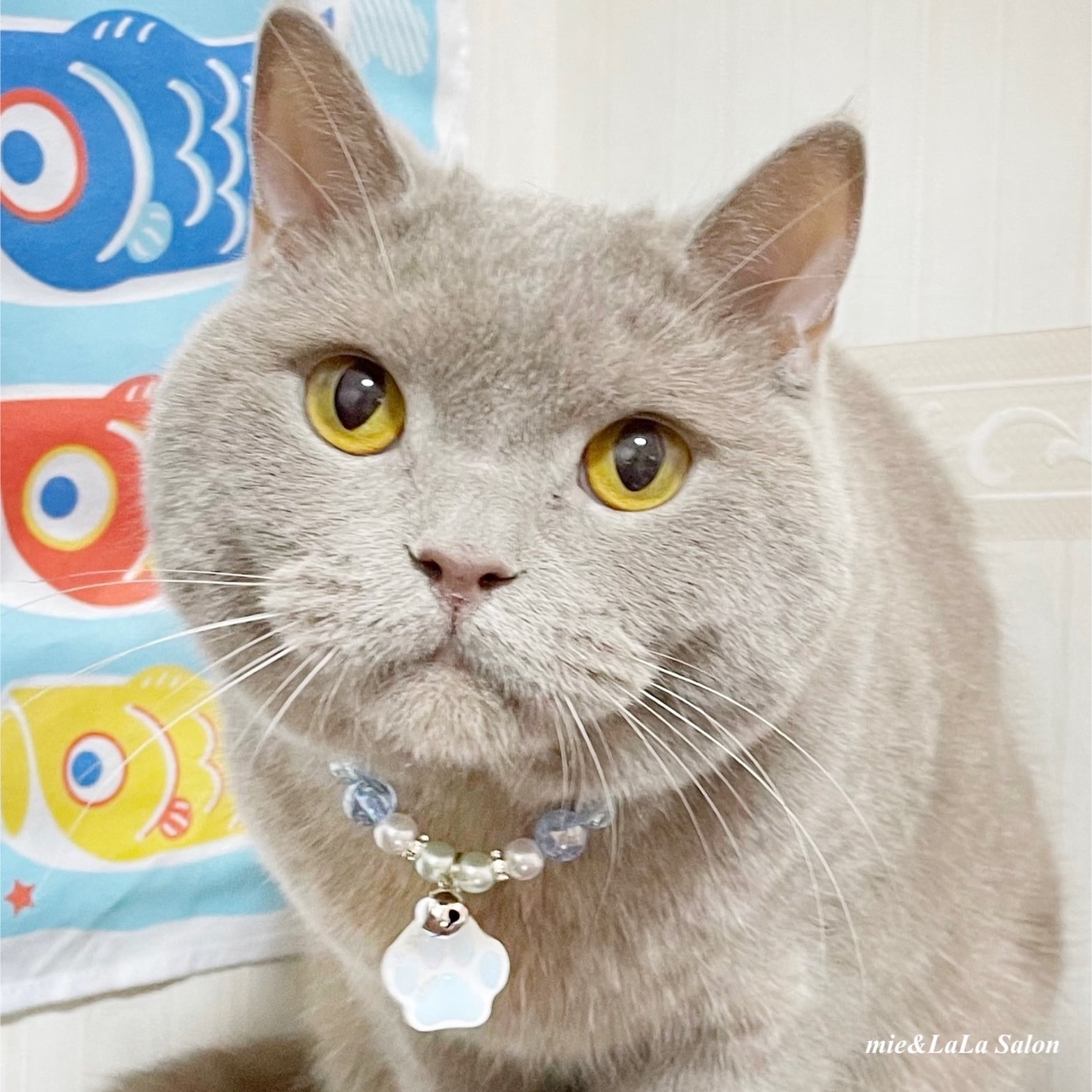 アニマーレ 猫 ネックレス 肉球チャーム ねこ ネコ キャット K10