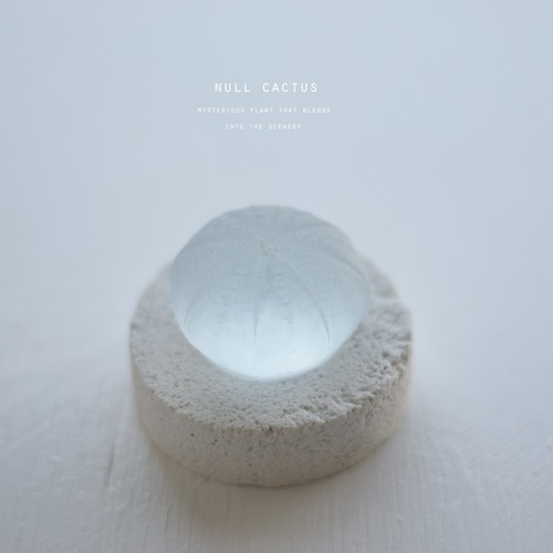 null cactus (clear オベサ）