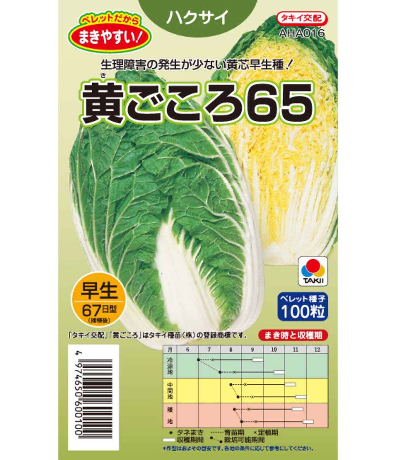 ハクサイ 「黄ごころ65」（RF）・画像3