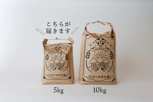 【玄米でお届け！】コシヒカリ　10㎏