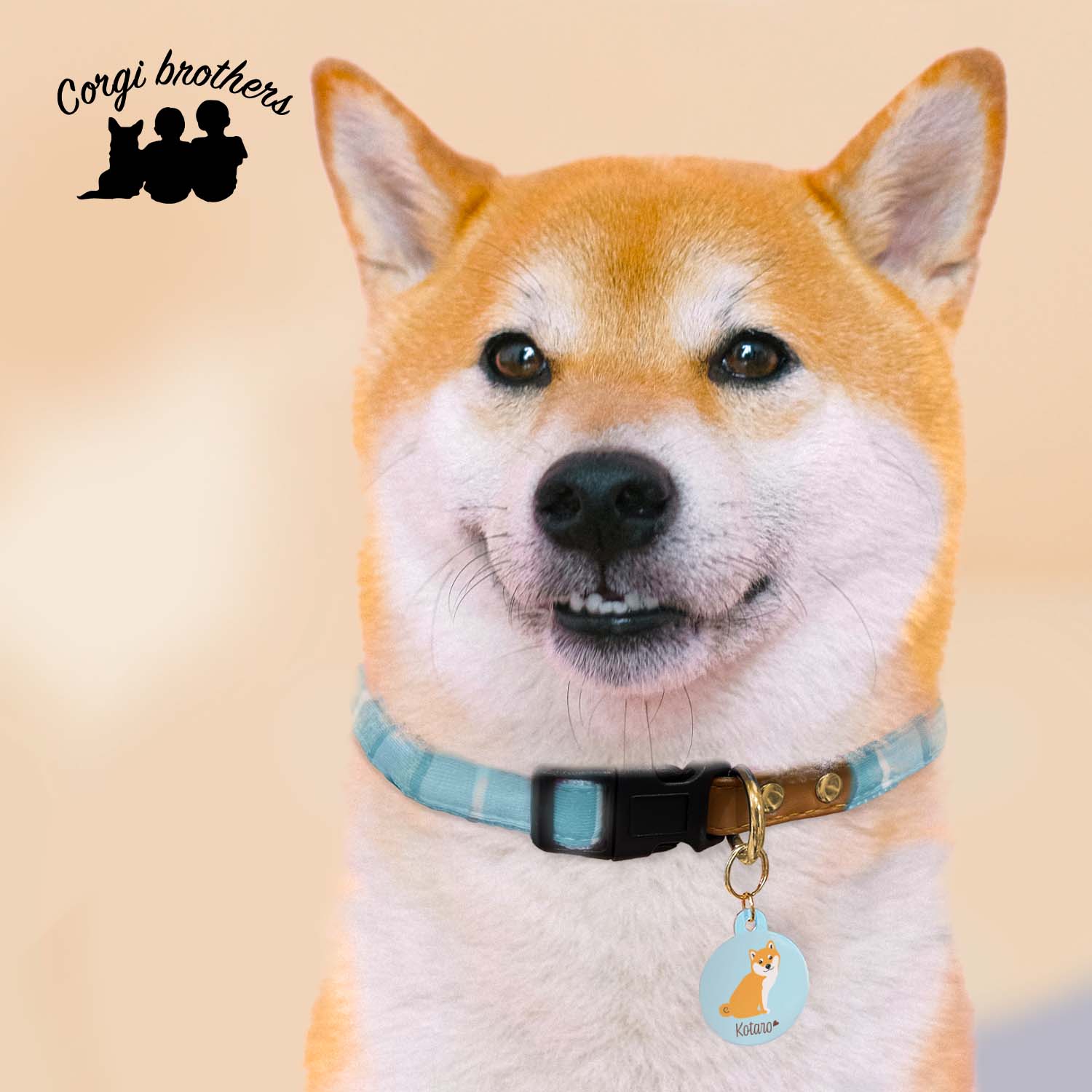 ダックスフンド 毛色7色 】 パステル色 名入り 迷子札 ドッグタグ