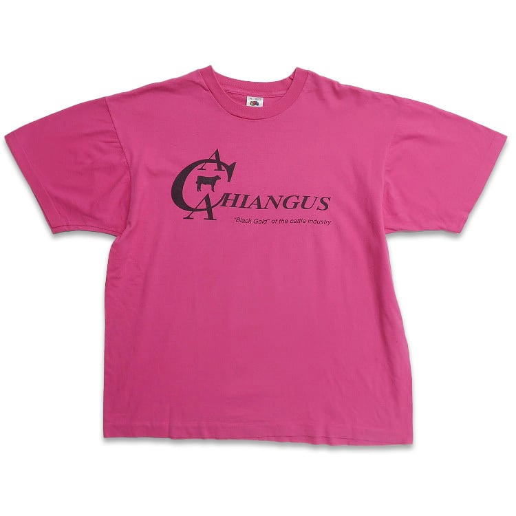 PINK DRAGON のラメ半袖シャツ 1990年代 新品未使用品 古着 90年代 USA製 フルーツオブザルーム プリントTシャツ