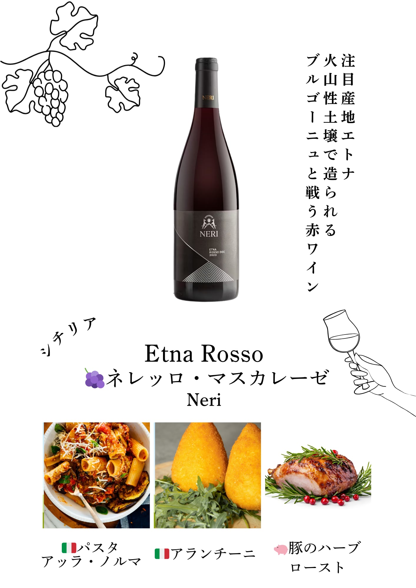 魔女が本気で厳選した極上イタリアワイン５本セット【30%OFF!!】