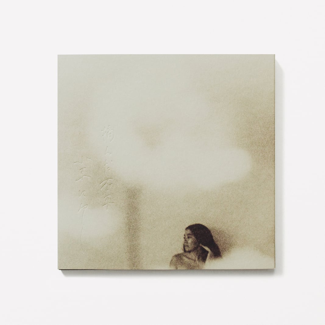 摘んだ花束 小束になして（CD） | lucadelphi