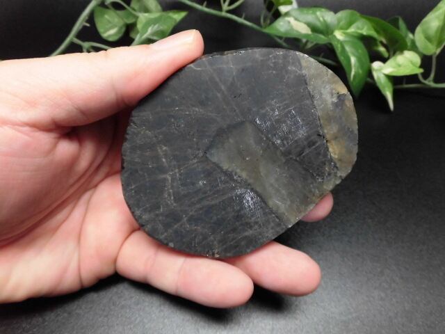 【送料無料】【高品質】ラブラドライトカエル　no.1