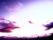 夕陽　Ｎｏ．６６