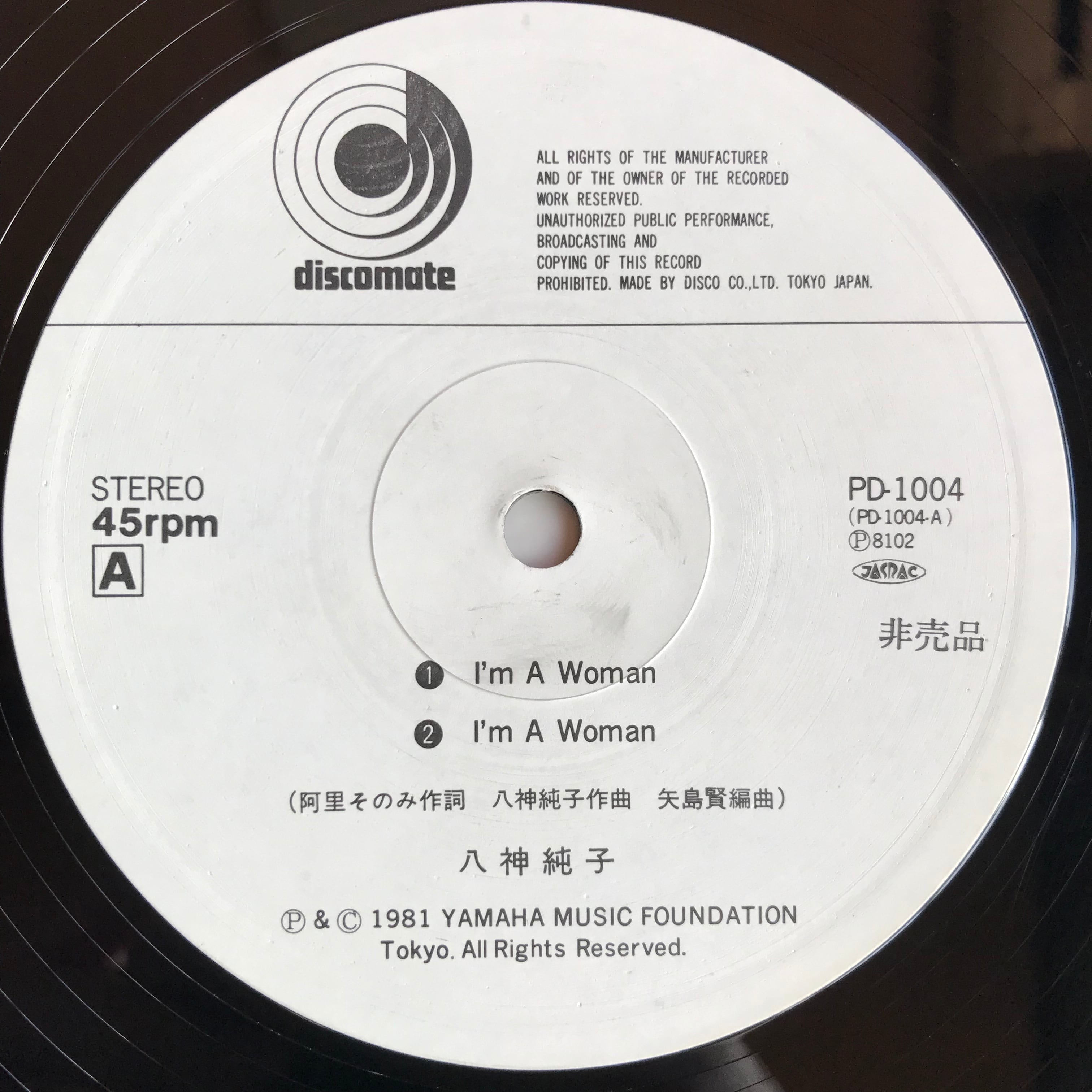 RD-00673 2930 カンパCampgnolo 鉄 Recordレコード 回転どめpin RD-00673 2930 カンパCampgnolo 鉄 Recordレコード 回転どめpin