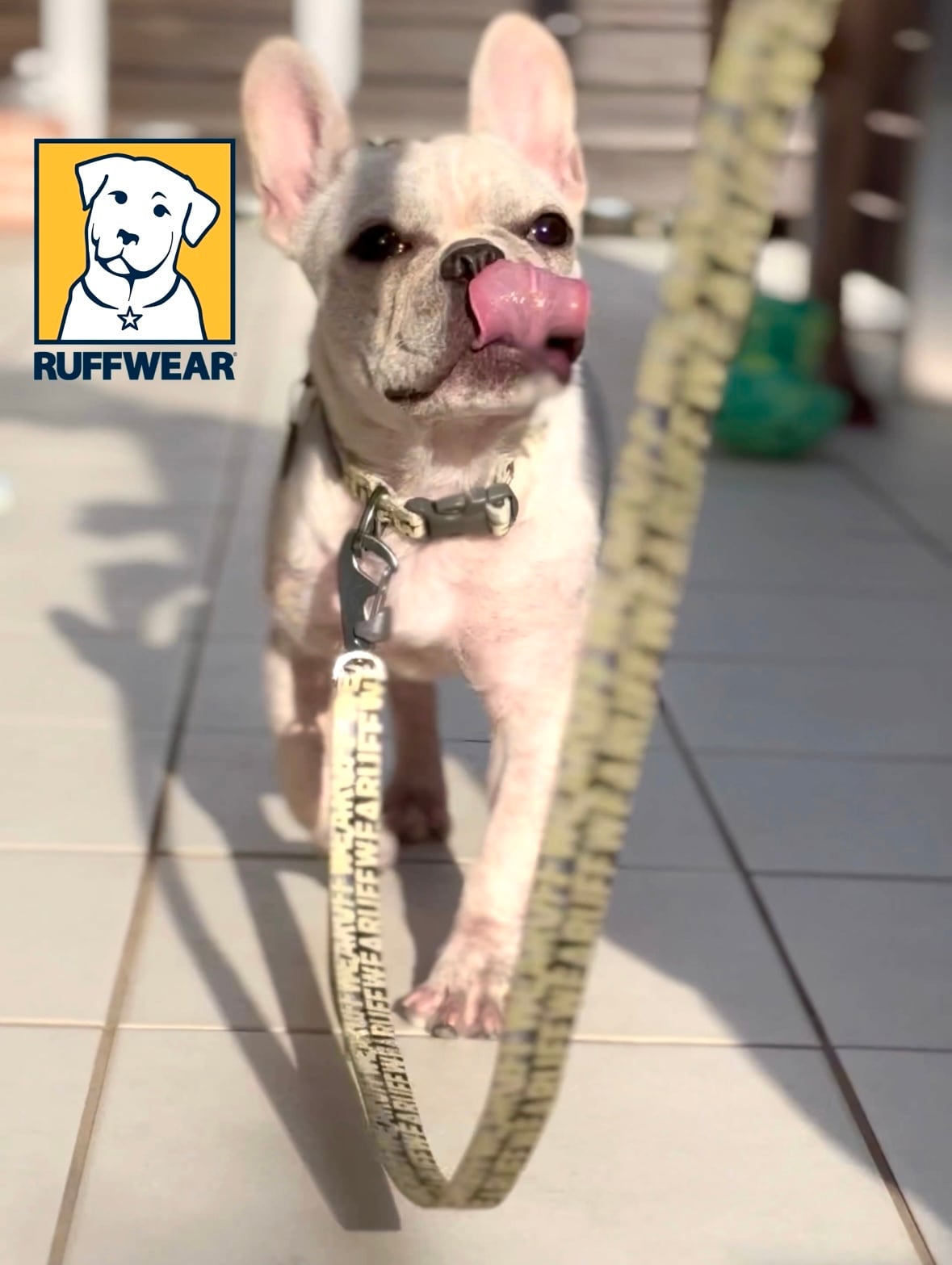 RUFFWEAR(ラフウェア) フロントレンジカラー/マウンテンロゴ