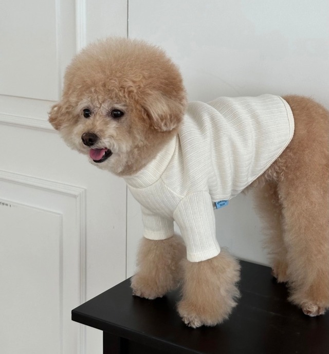 即納【Freddie Tale】Cozy cotton t-shirt(cream)Lサイズ