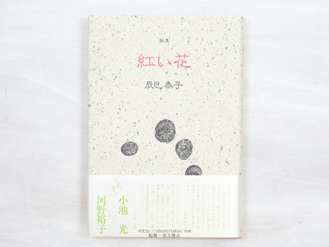 歌集　紅い花　初カバ帯　/　辰巳泰子　　[34123]