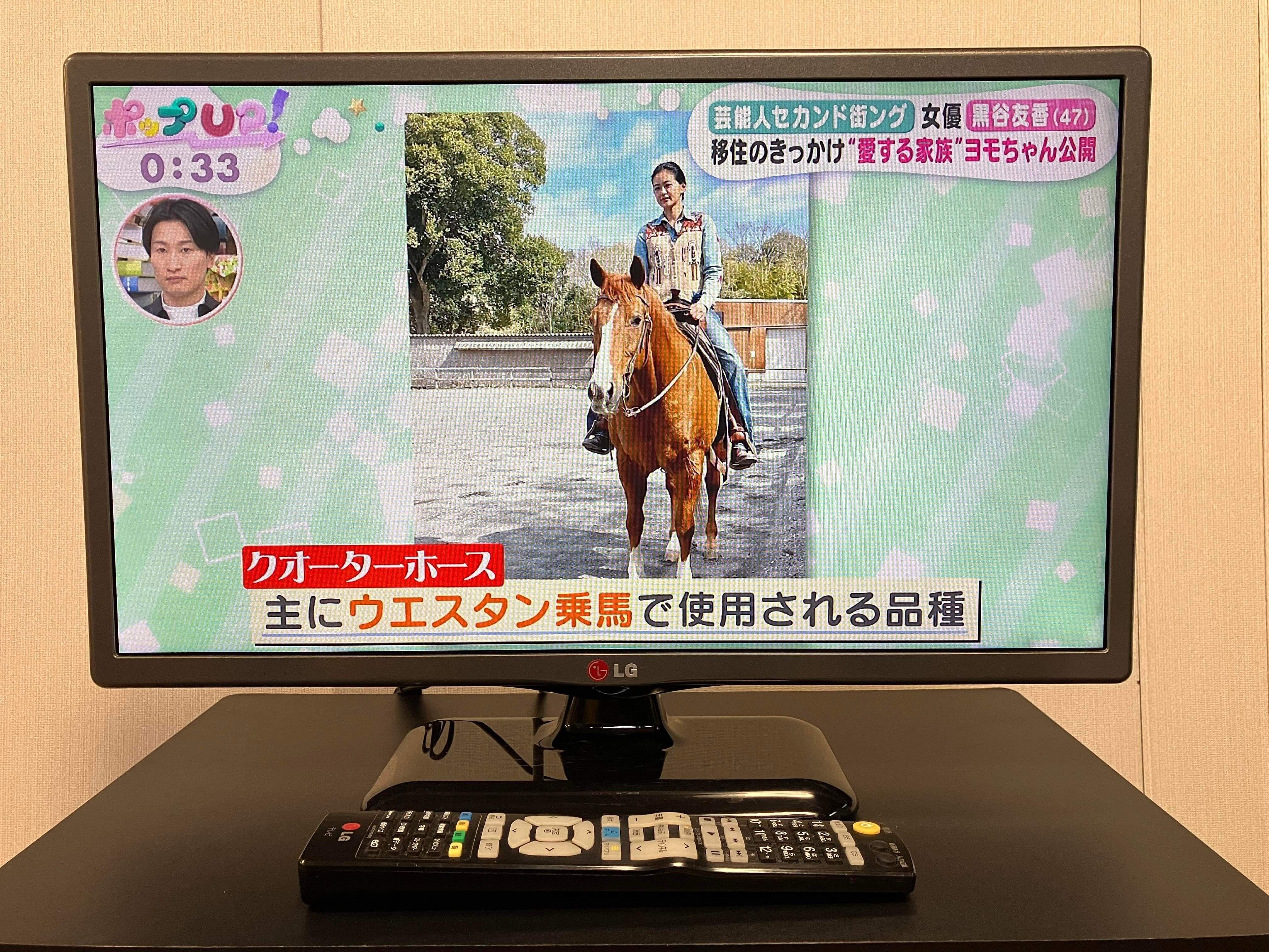22型 2015年製 LGエレクトロニクス 液晶テレビ 22LB491B 中村区亀島リサイクルショップ ハラダワークス