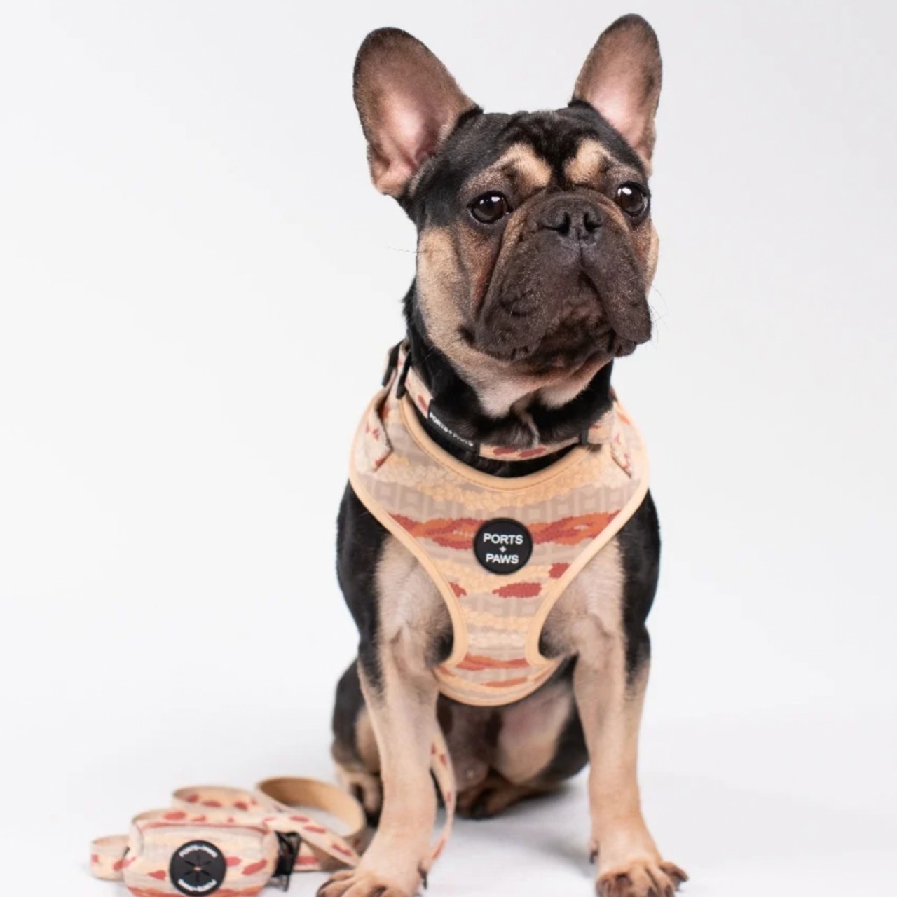 ハーネス / PORTS + PAWS ハワイ 犬 NIʻIHAU PŪPŪ SHELL