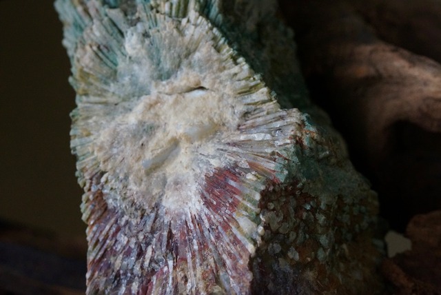 菊花石　Chrysanthemum Stone　B