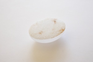 ■ノグチカズミ個展 :小さなもの フォーン