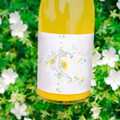 ハルシャル　2024　紅まどんな