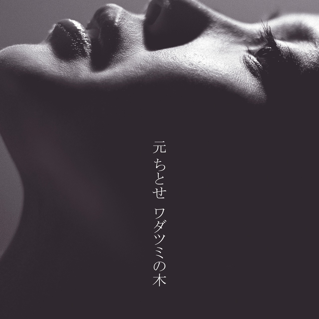 【完全限定生産盤】 元ちとせ「ワダツミの木」アナログ盤（12インチ）