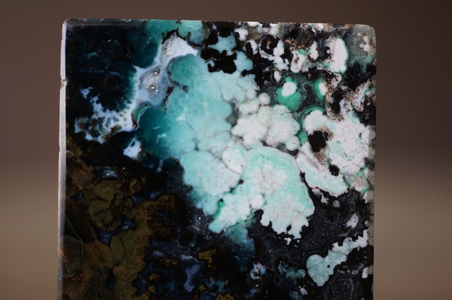 インドネシア産ブルーペトリファイドウッド Blue Opalized Petrified Wood 1977