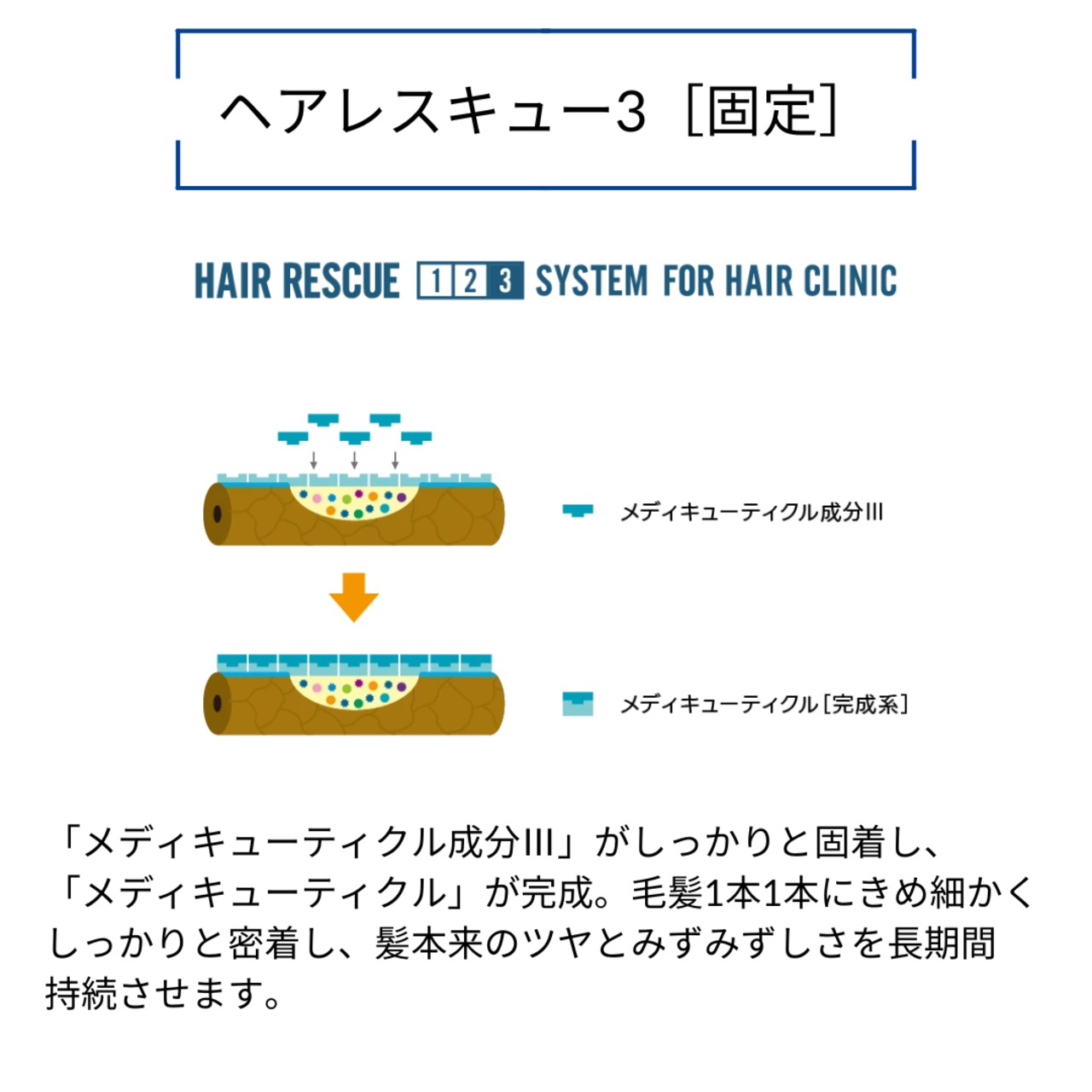 タマリス ヘアレスキュー クリニックシステム|人毛ウィッグ スペシャルトリートメントセット 集中補修・保湿ケア プロ用サロン品質