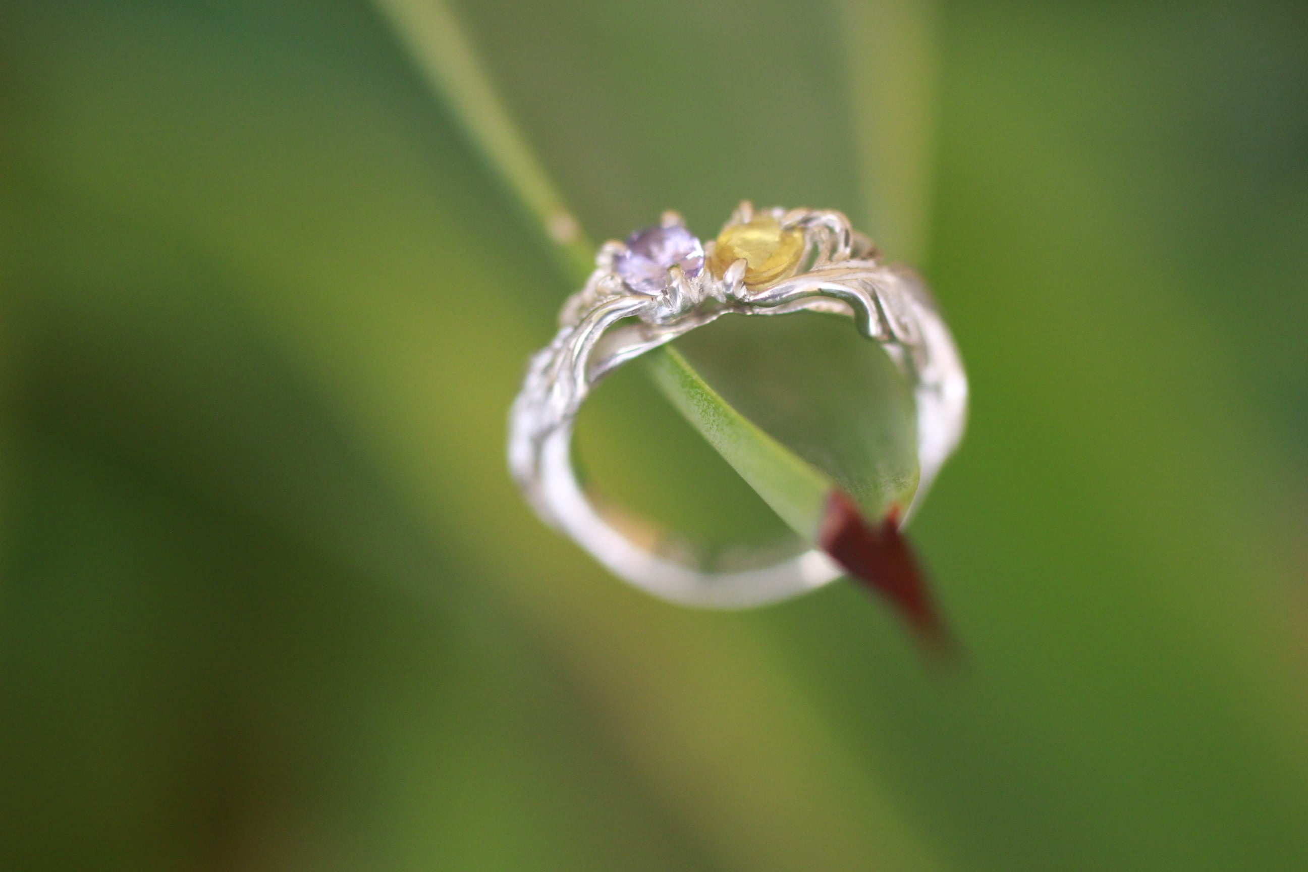 アルビレオ － Albireo Ring