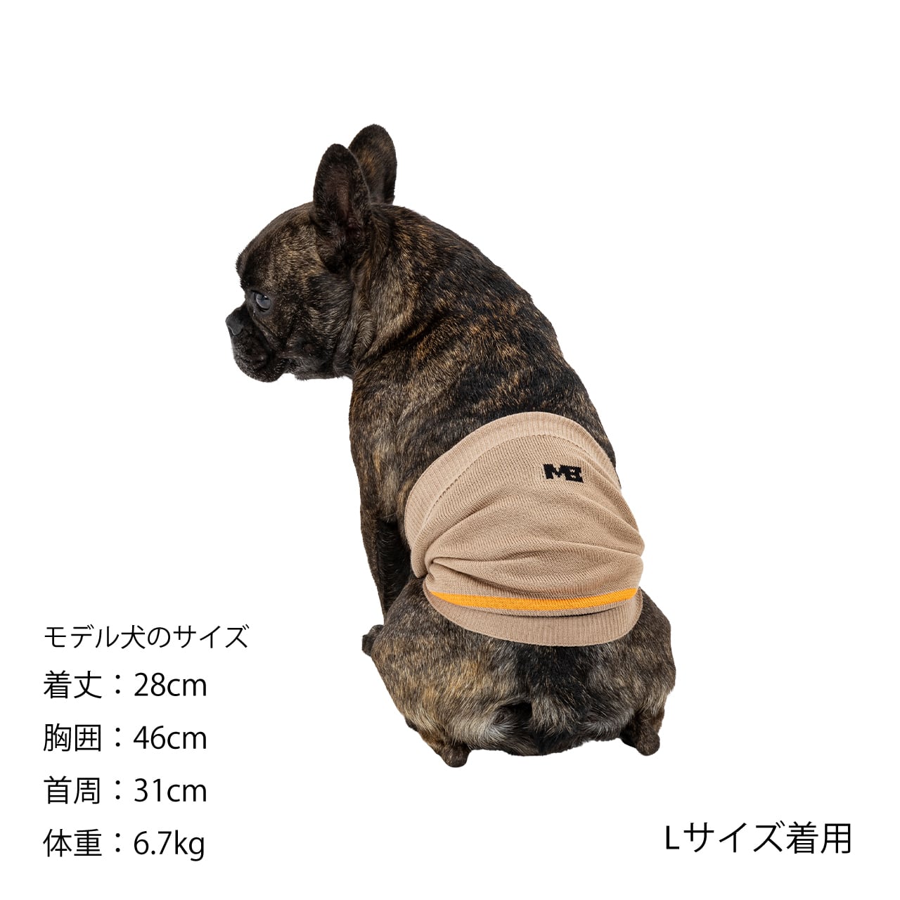 ペリ犬 BELLY WARMER（L.XL） ベリーウォーマー（L.XL） | MANDARINE BROTHERS