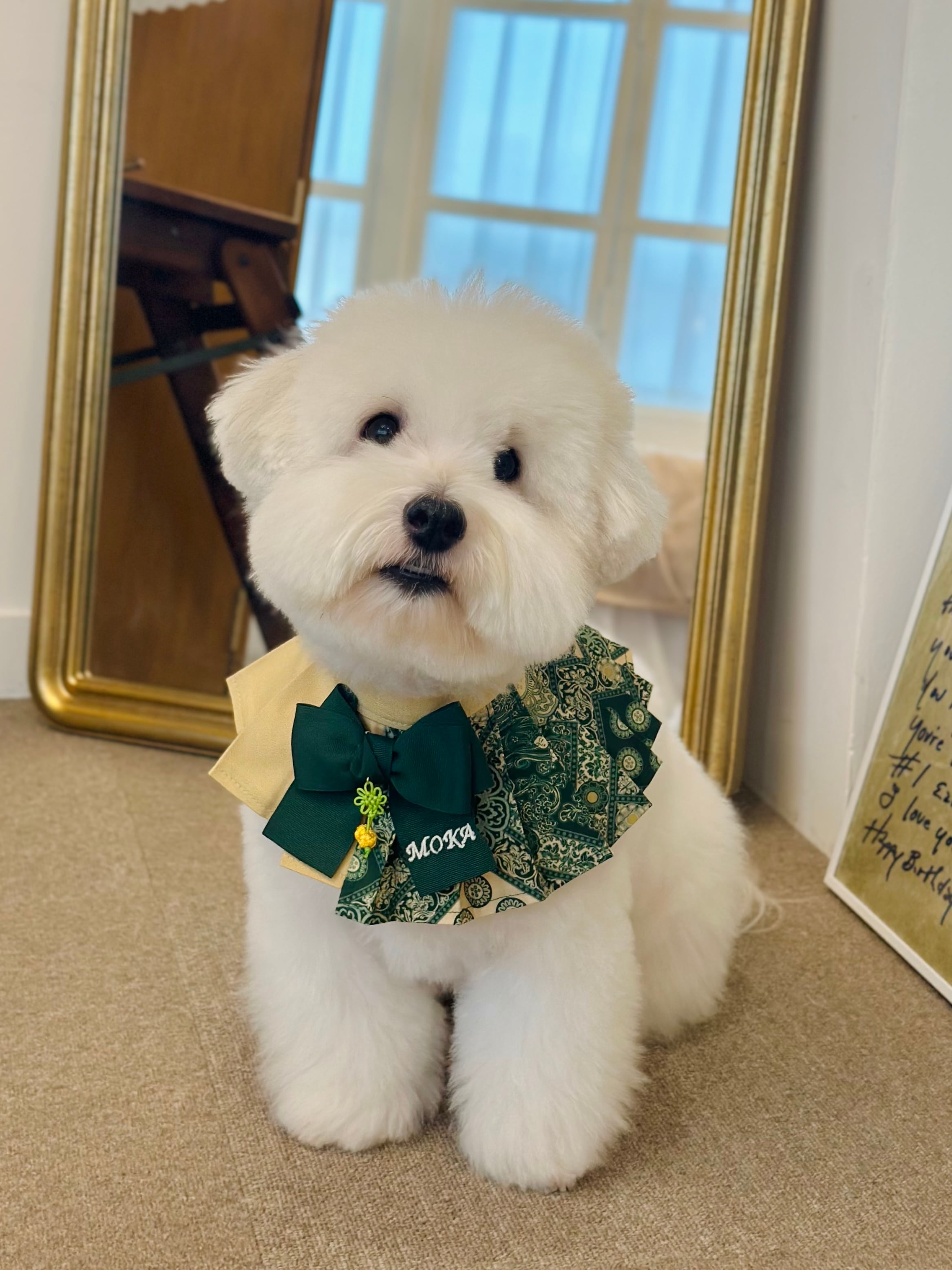 本体＋リボンSET/予約【MR.MOKA】Half＆Half 2block Accordion Cape (25FW限定)