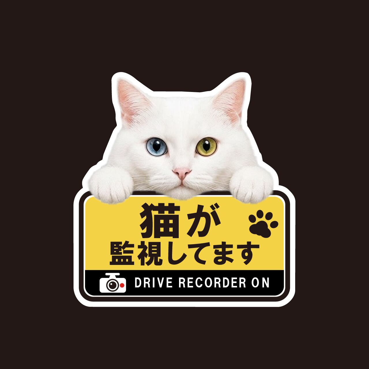 白猫・ホワイト・白・猫・CAT・cat・ドライブレコーダー・ドラレコステッカー・撮影中・車・角ゴシック・自動車・ステッカー・インクジェット印刷・屋外用・猫好き・ドライブグッズ・監視しています・おもしろい・かわいい・肉球・日本製・3Mシート