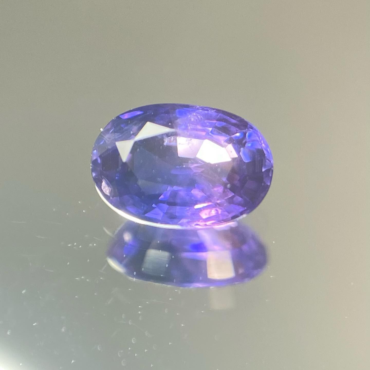 ハナショウブ バイカラーサファイア