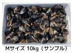 ■飯干様 ご予約商品「11月26日 16時～18時」1箱：10kg入り【釣り餌用 ムール貝】Mサイズ商品 2