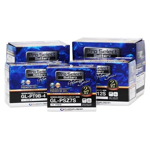 バイク バッテリー シグナスX マジェステ TTR250 レイド /Pro Select