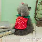 ＼ LLサイズ登場！／ 冷感いちごハーネス